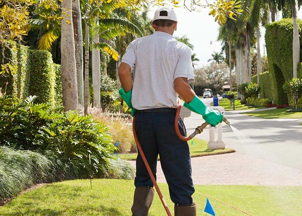 About Pike NH Pest Control Pros